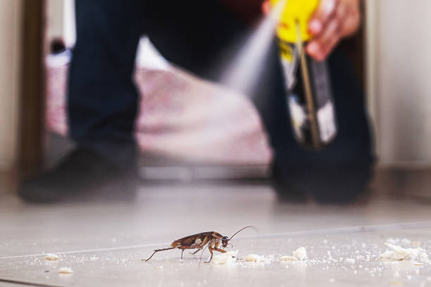 Best Cockroach Control Services  in Erda, UT